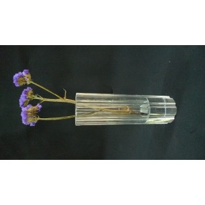 CRYSTAL CRAFTS-IGT-CR0017
